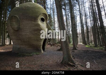 Silva capitalis, foresta scultura di testa, parte di Kielder acqua e Forest Park art trail, Northumberland, Regno Unito Foto Stock