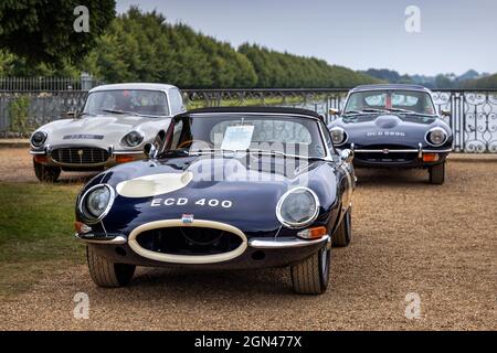 Classic Jaguar e-Type Cars al Concours of Elegance 2021, Hampton Court Palace, Londra, Regno Unito Foto Stock
