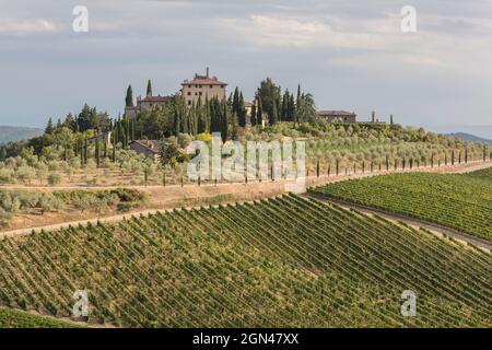 PAESAGGI DEL CHIANTI,TOSCANA,ITALIA Foto Stock