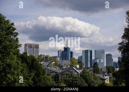 Francoforte - meno, Germania - 13 settembre 2021: Fotografo tedesco che visita il cosiddetto Palmengarten, un giardino botanico, in una giornata di sole. Foto Stock