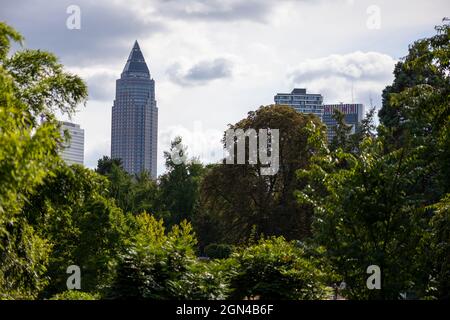Francoforte - meno, Germania - 13 settembre 2021: Fotografo tedesco che visita il cosiddetto Palmengarten, un giardino botanico, in una giornata di sole. Foto Stock