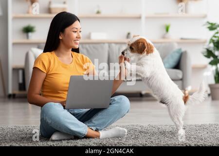 Donna asiatica che guarda tutorial per cani di formazione, utilizzando il computer portatile Foto Stock