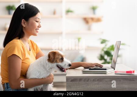 Donna asiatica occupata che lavora da casa, accarezzando il suo cane Foto Stock