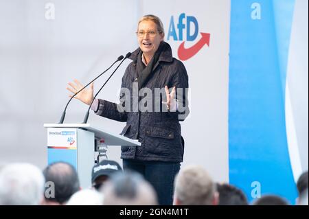 22 settembre 2021, Sassonia, Görlitz: Alice Weidel, primo candidato dell'AFD per le elezioni del Bundestag, parla ad un evento di campagna del suo partito a Marienplatz. Foto: Sebastian Kahnert/dpa-Zentralbild/dpa Foto Stock