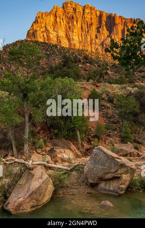 La luce della sera colora il Watchman nel Parco Nazionale di Zion Foto Stock