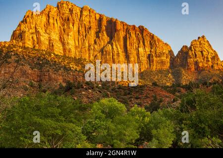 La luce della sera colora il Watchman nel Parco Nazionale di Zion Foto Stock