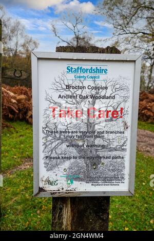 Un segno in Brocton Coppice, Cannock Chase AONB avvertimento circa i rami che cadono dagli alberi antichi del bosco di quercia, Stafford, Inghilterra, Regno Unito Foto Stock