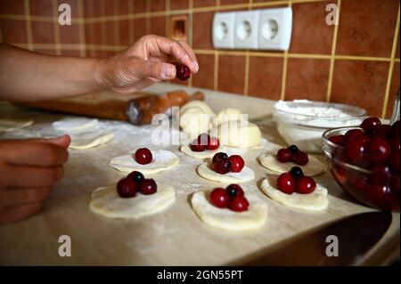 Primo piano delle mani mettendo le bacche di ciliegia su una forma rotonda di pasta, riempiendo gnocchi tradizionali ucraini. Processo di cottura dei gnocchi passo per passo Foto Stock
