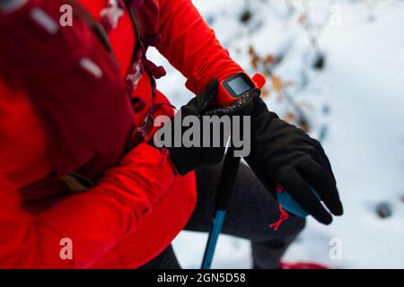 Runner che ha impostato Sports Watch per correre in Woods. Top Crosed View of Sportswoman with Trekking Poles controllo Fitness Watch on Cold Winter Day. Foto Stock