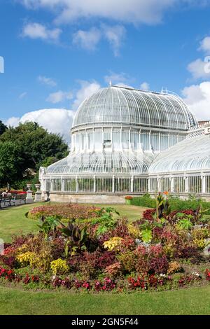 Serra a cupola vittoriana, giardini botanici, Queens Quarter, città di Belfast, Irlanda del Nord, Regno Unito Foto Stock