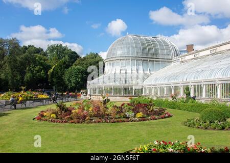 Serra a cupola vittoriana, giardini botanici, Queens Quarter, città di Belfast, Irlanda del Nord, Regno Unito Foto Stock