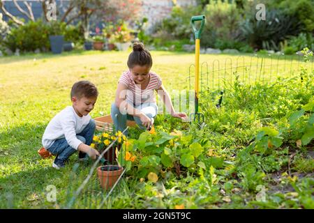 Felice sorella caucasica e fratello giardinaggio insieme Foto Stock