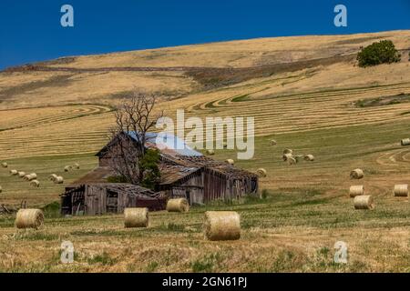 Fienile e fienaia di legno vicino a Pomeroy, Washington state, USA [Nessun rilascio di proprietà; solo licenza editoriale] Foto Stock