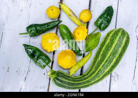 Issaquah, Washington, Stati Uniti. Verdure appena raccolte che riposano su un tavolo da picnic, tra cui zucchine italiane, zucca Pattyan, squash dolce Banana A. Foto Stock