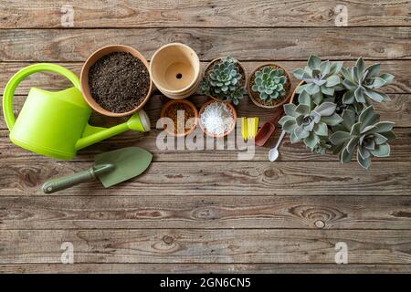 Vista dall'alto degli attrezzi di giardinaggio, annaffiatura della lattine, semi, piante e terreno su tavola di legno d'annata. Set di attrezzi per i pots del giardiniere e del fiore. Foto Stock
