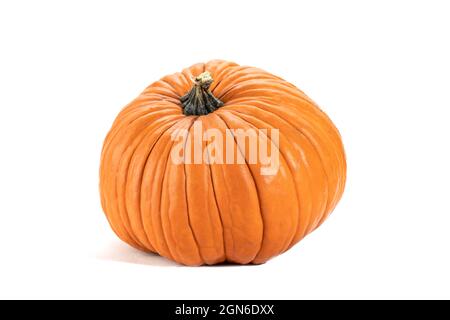 Una zucca di colore arancione con gambo isolato su sfondo bianco Foto Stock