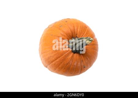 Succo di arancia zucca isolati su sfondo bianco, vista dall'alto Foto Stock