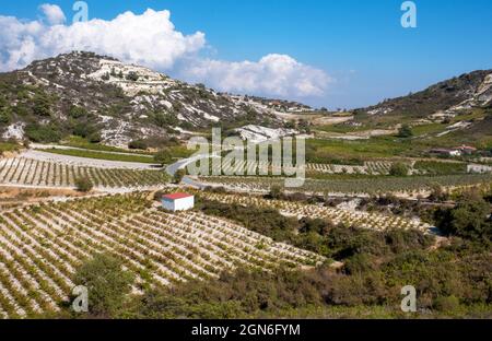 View across vineyards near Omodos, Cyprus. Foto Stock