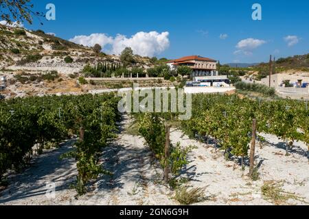 Vista generale della cantina Ktima Gerolemo vicino al villaggio di Omodos, Cipro. Foto Stock