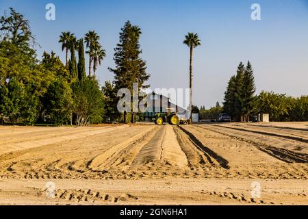 Un campo coltivato su misura nella Valle Centrale della California USA Foto Stock