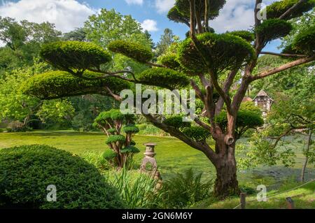 Maulevrier Oriental Park (il più grande giardino giapponese d'Europa), Maulevrier, Maine-et-Loire (49), Pays de la Loire region, Francia Foto Stock