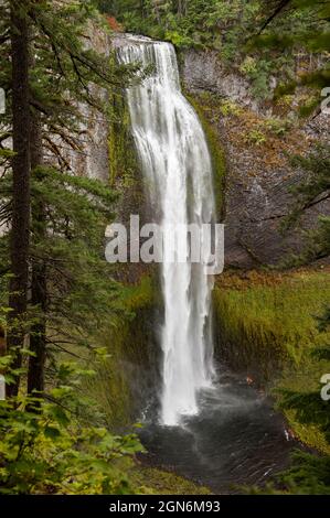 Salt Creek Falls, la seconda cascata più alta dell'Oregon, nella Willamette National Forest vicino a Oakridge, Oregon. Foto Stock