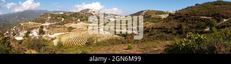 Panoramic view across vineyards near Omodos, Cyprus. Foto Stock