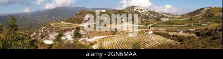 Panoramic view across vineyards near Omodos, Cyprus. Foto Stock