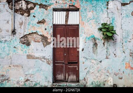 Antico edificio coloniale abbandonato con porte di legno e piante che crescono dalle pareti spaccate, Antigua, Guatemala Foto Stock