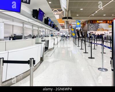 Tokyo, Giappone - 24 Novembre 2019: Registrazione del ponte all'Aeroporto Internazionale Haneda di Tokyo Foto Stock