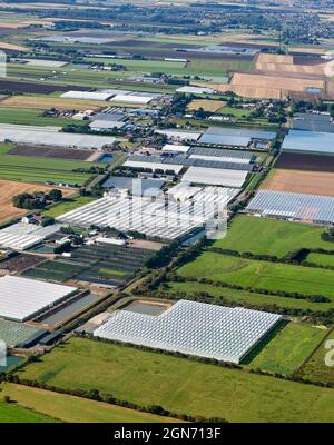 Modelli di campo nel mercato ad alta resa giardinaggio terra agricola vicino Hesketh Bank, West Lancashire, North West England, UK Foto Stock