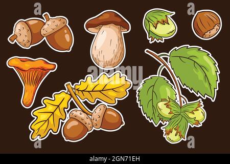 Kit adesivi per la raccolta autunnale. Foglie di quercia, ghiande, nocciole, funghi. Collezione di elementi decorativi forestali per stampe, biglietti d'invito e d'auguri design e decorazione. Vettore Premium Illustrazione Vettoriale
