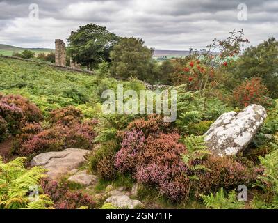 Yorkes Folly o Two Stoops sulla Nidderdale Way vicino a Pateley Bridge Nidderdale AONB North Yorkshire Inghilterra Foto Stock