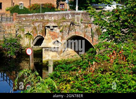 Una vista del ponte Bishop del XIV secolo sul fiume Wensum dal sentiero lungo il fiume nella città di Norwich, Norfolk, Inghilterra, Regno Unito. Foto Stock