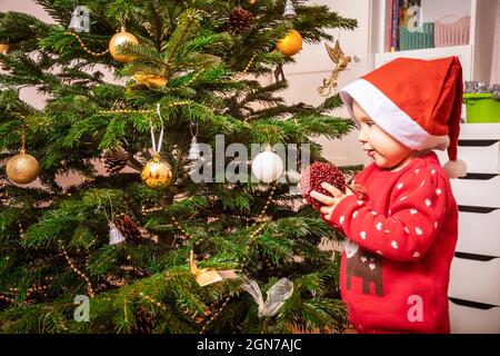 Bambina piccola che indossa il maglione rosso di natale aiuta a decorare l'albero di Natale a casa Foto Stock