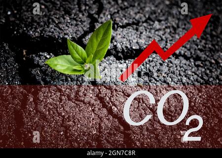 Aumento del livello di anidride carbonica. Catastrofe ecologica e concetto di riscaldamento globale. Segnale di avvertimento aumento CO2 e pianta verde su asfalto incrinato Foto Stock
