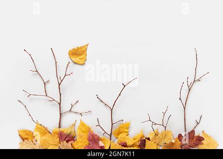 Concept autunnale creativo. Rami di albero e caduto foglie colorate autunno su sfondo grigio. Vista dall'alto, piatto. Foto Stock