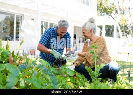 Felice coppia caucasica senior indossare guanti da giardinaggio insieme Foto Stock