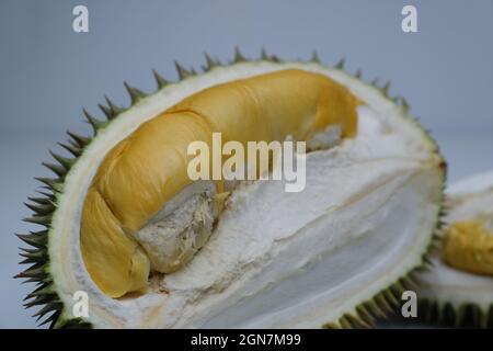 Durian, noto anche come il re della frutta isolato su sfondo bianco Foto Stock