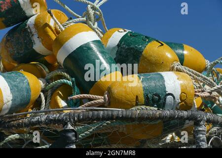 Bel colpo di colorate trappole di granchio collegato con corde su una barca a Newport, Oregon, USA Foto Stock