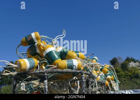 Bel colpo di colorate trappole di granchio collegato con corde su una barca a Newport, Oregon, USA Foto Stock