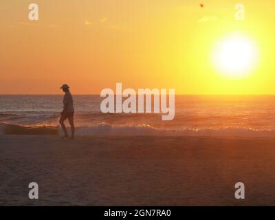 Immagini assortite della costa del New Jersey raffiguranti scene di spiaggia con alba e fauna Foto Stock