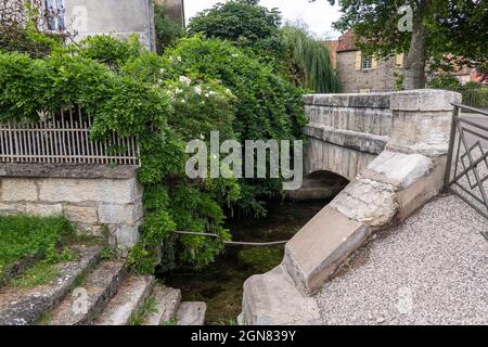 I gradini conducono al fiume Beze dal ponte di pietra, Cote d'Or, Borgogna, Francia. Foto Stock