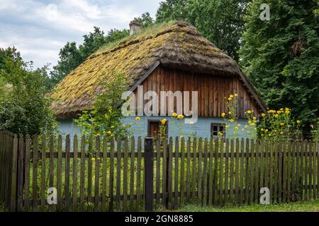 Radom, Polonia - 26 luglio 2021: Una tradizionale casa in legno bianco con tetto di paglia. Fiori gialli in fiore nel giardino. Foto Stock