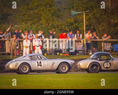 Ferrari 250 GT SWB/c e un AC Cobra al tramonto al Goodwood Revival 2021, West Sussex, regno unito Foto Stock