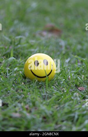 Closeup verticale di una sfera gialla faccia sorridente sull'erba Foto Stock