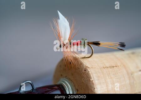 Primo piano immagine di un Royal Coachman pesca a mosca trota secca Fly su un manico di sughero di una canna da pesca a mosca Foto Stock