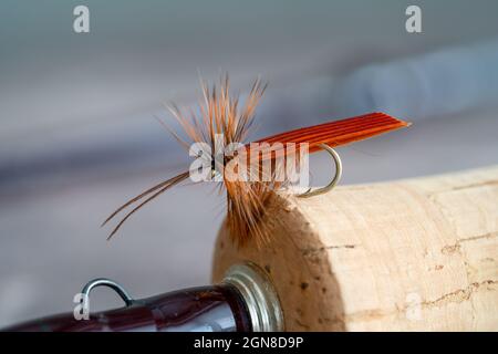 Primo piano di un mosca di pesca secca del mosca di Caddis agganciata nel manico di un'asta del mosca con l'occhio del gancio e il bianco della canna Foto Stock