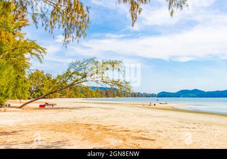 Albero pendente in tropicale Paradise Island Koh Phayam Aow Yai Beach paesaggio vista panoramica a Ranong Thailandia. Foto Stock