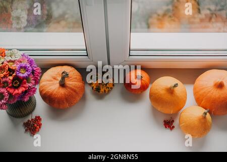 Composizione dell'umore autunnale. Cornice fatta di zucche, fiori autunnali, e guelder rosa su sfondo bianco, vacanze autunnali Foto Stock